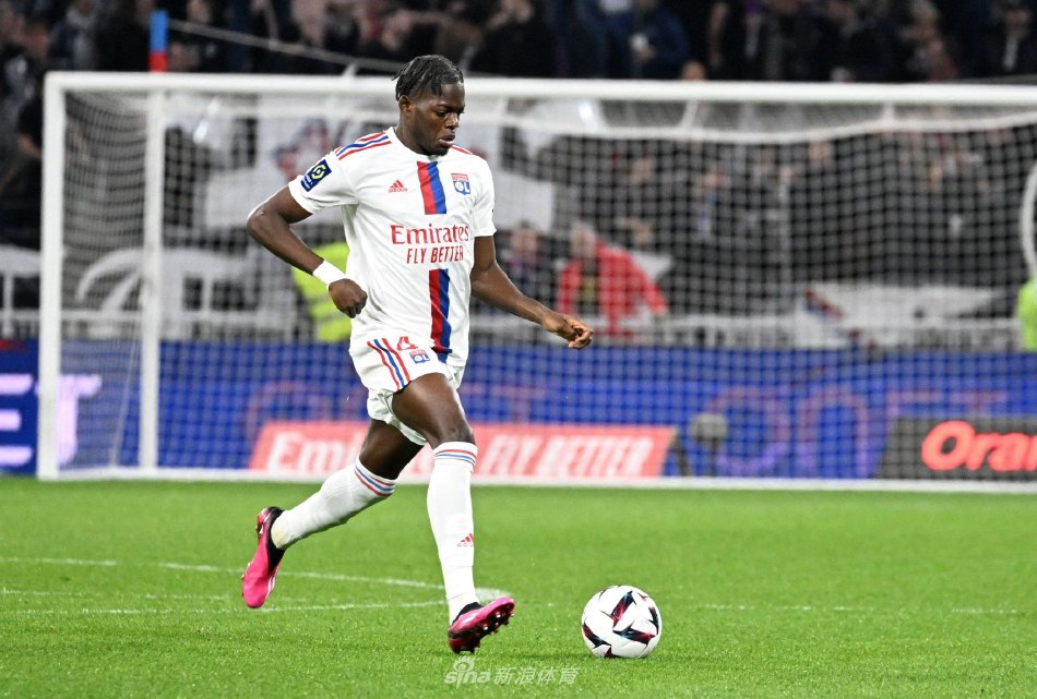 和自我保护 和自我保护